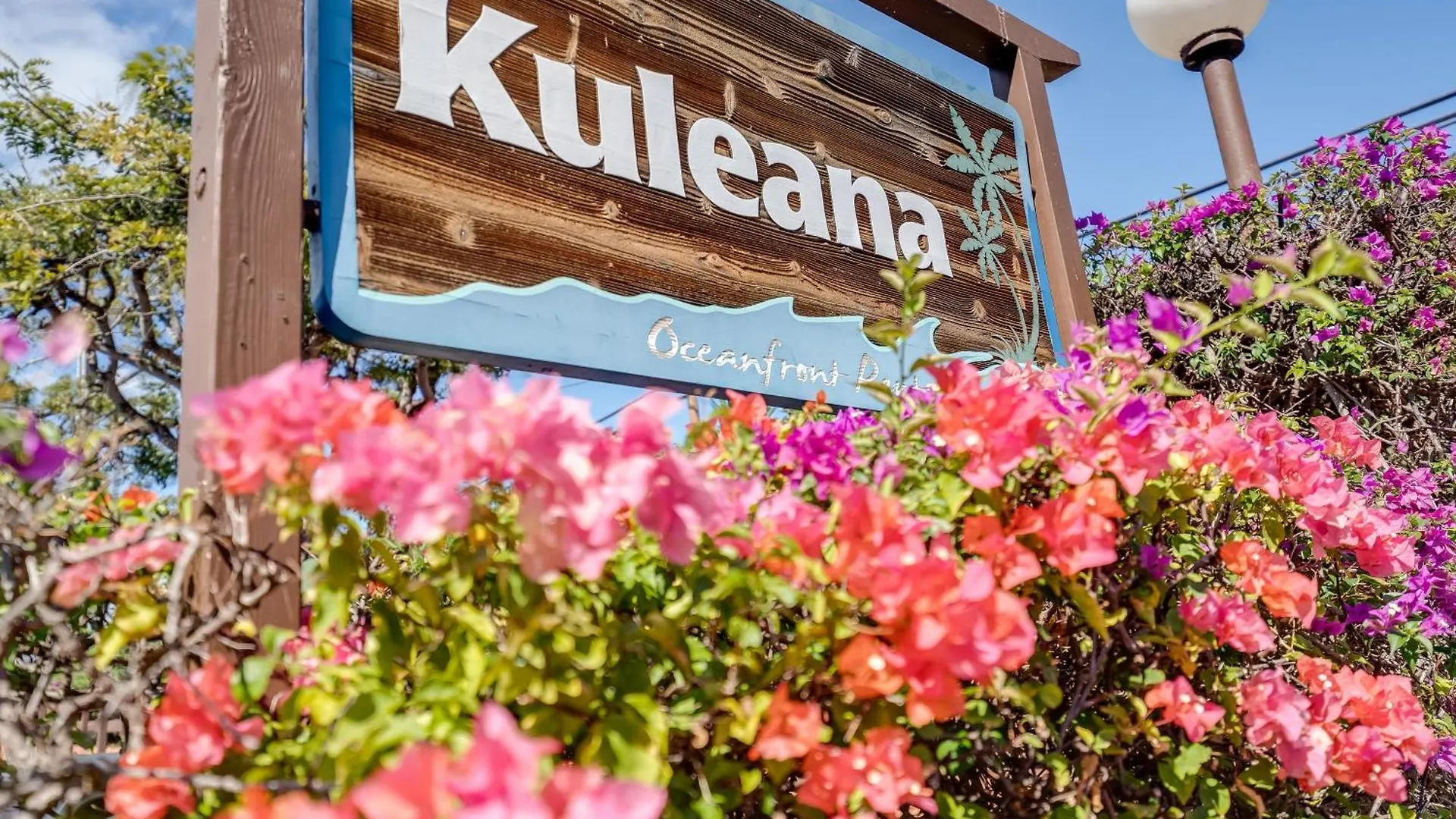 Kuleana 321 Villa Kahana Holiday home